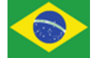 team logo for Team Brazil