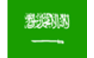 team logo for Team Saudi Arabia